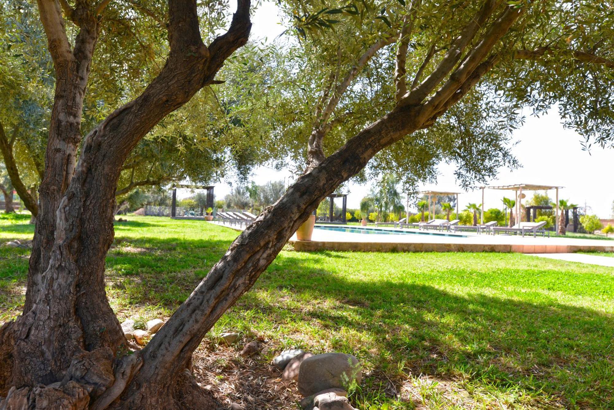 Villa Agora, Villa A La Campagne Proche Marrakech Sidi Abdallah Ghiat Buitenkant foto